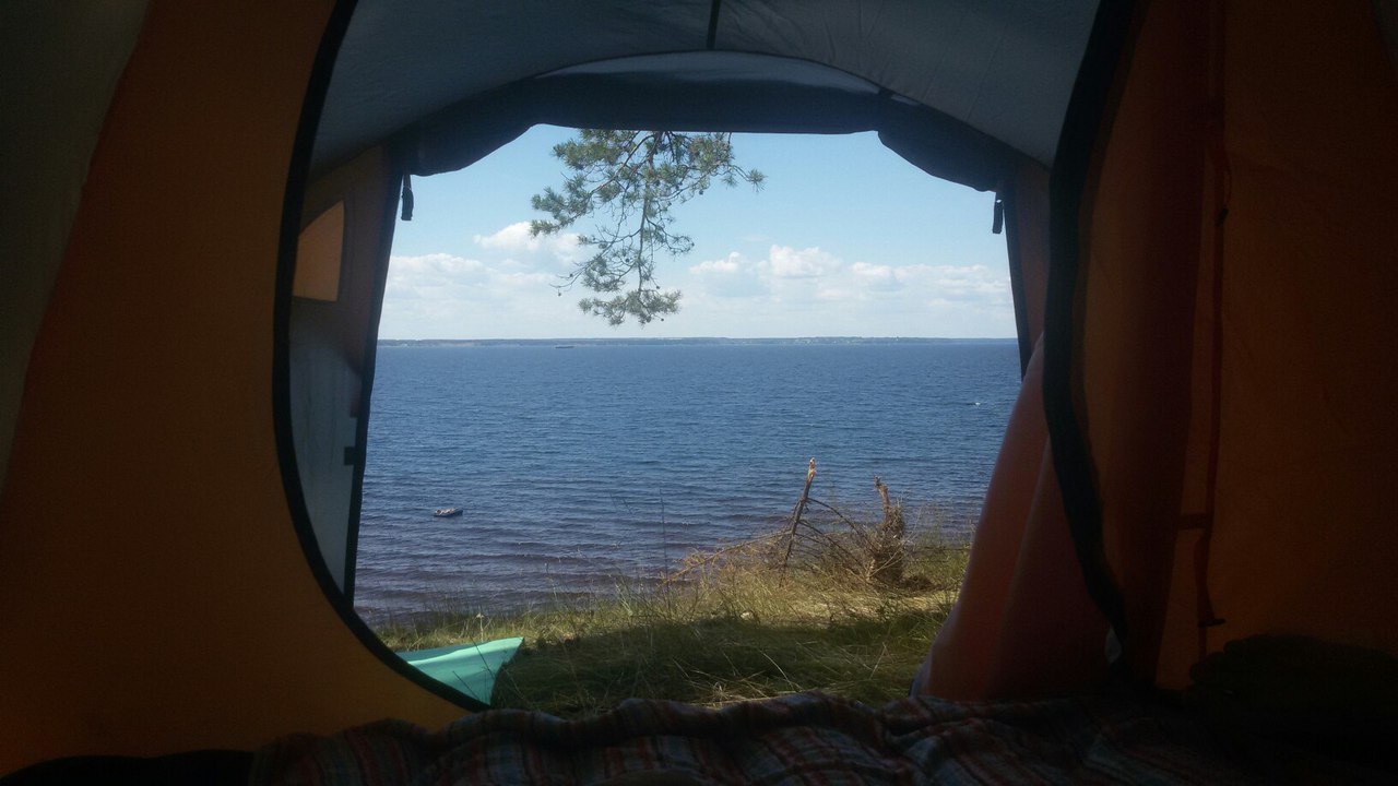 Горьковское море глазами медведя. - Моё, Горьковское море, Медведи, Спячка, Лето