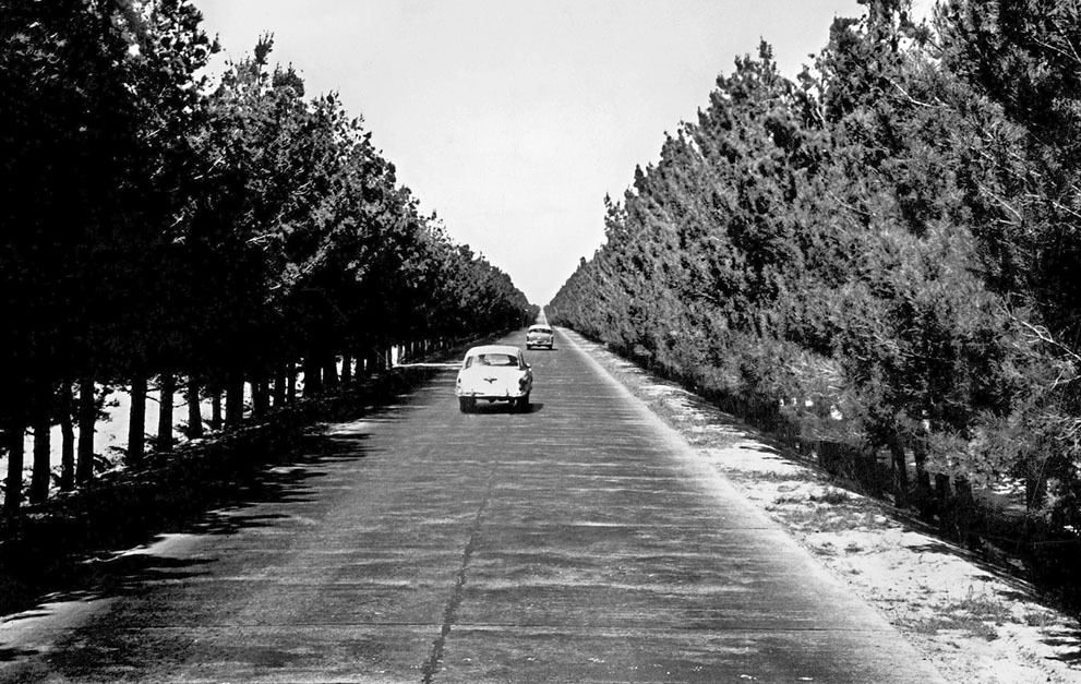 Afghanistan in the 50s - 60s - Old photo, the USSR, sights, Past, Made in USSR, Retro, История России, 60th, 50th, Film, History, Dagestan, Caucasus, Childhood in the USSR, Longpost, Local history