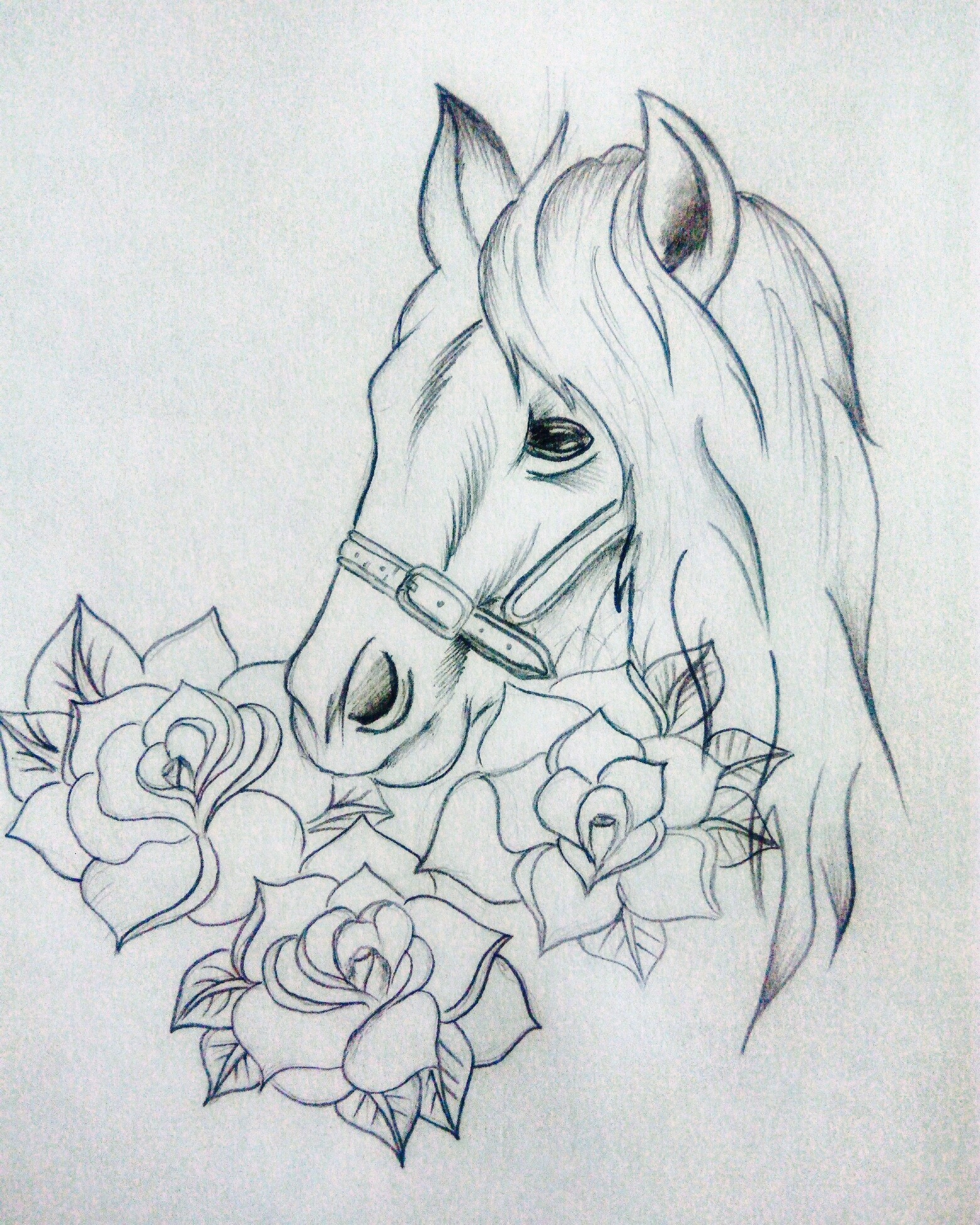 Sketches - Sketch, Horses, Flowers, Longpost