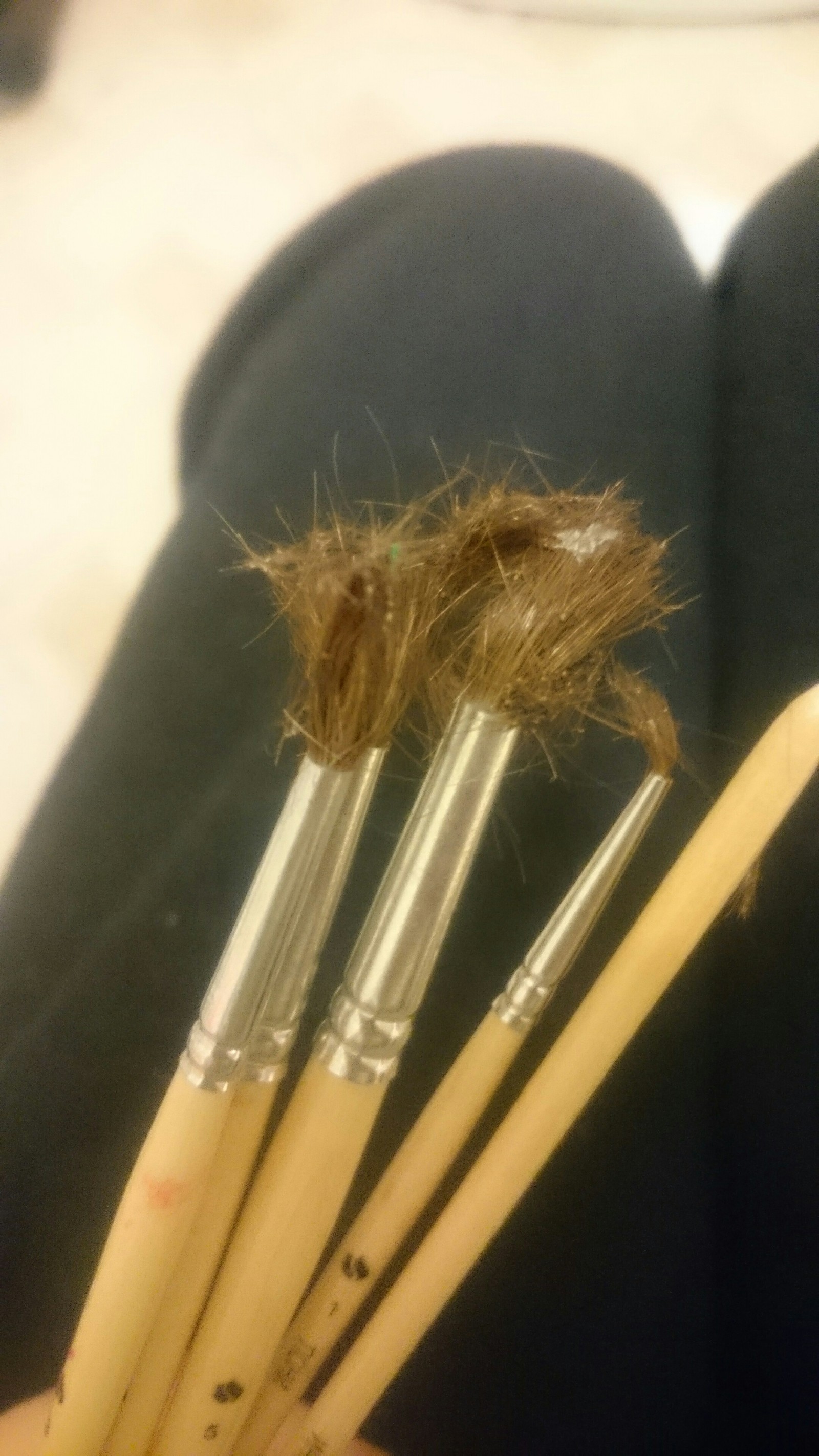 When the moth inadvertently descends... - My, Brush, Moth