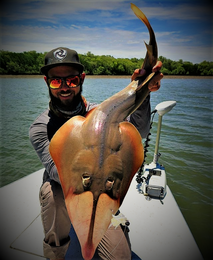 Tell me what kind of creature? - The photo, A fish, Animals, River, Creatures, Question, Lake