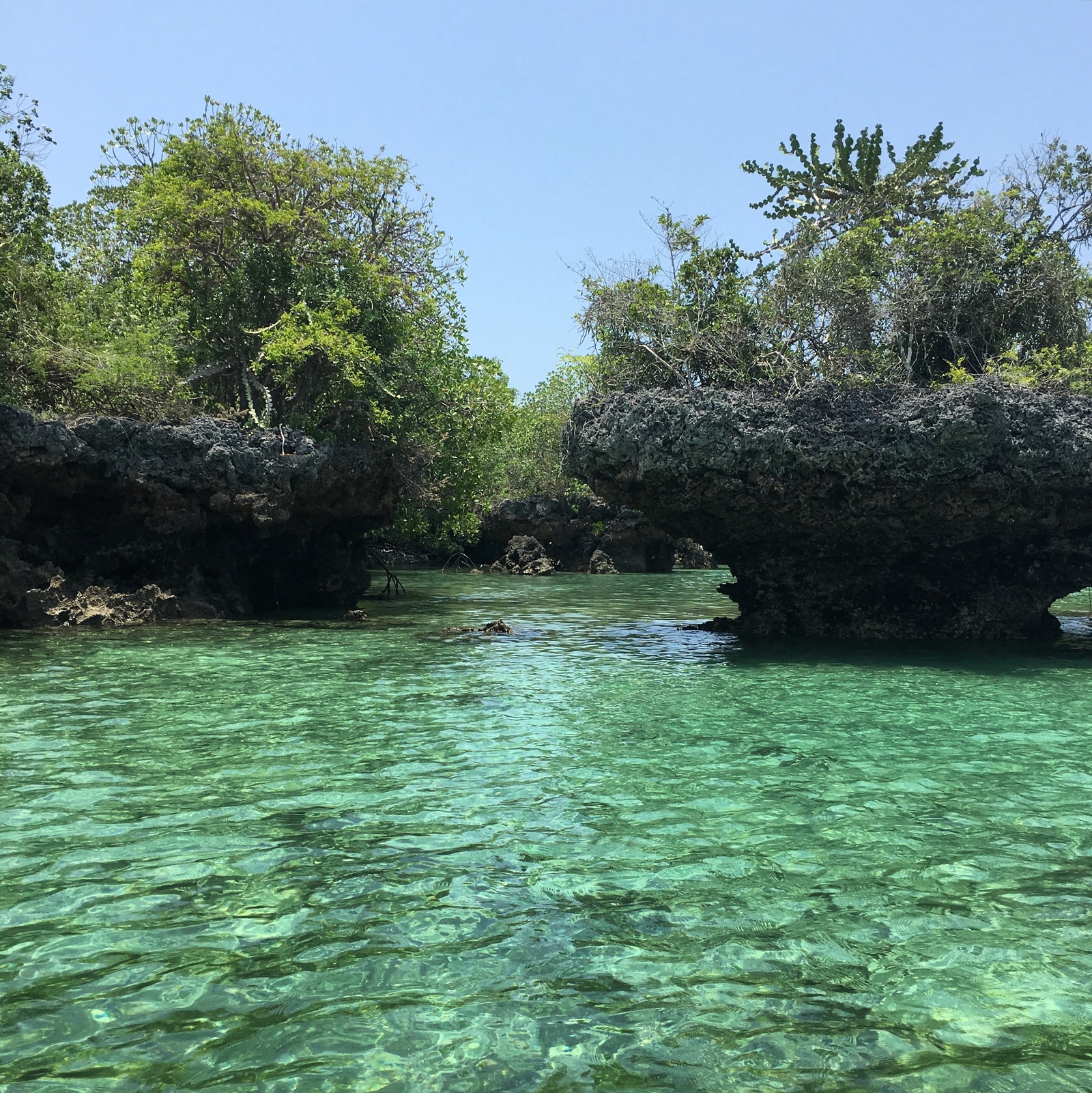 Zanzibar) - My, My, Zanzibar, Tanzania, Relaxation, Longpost