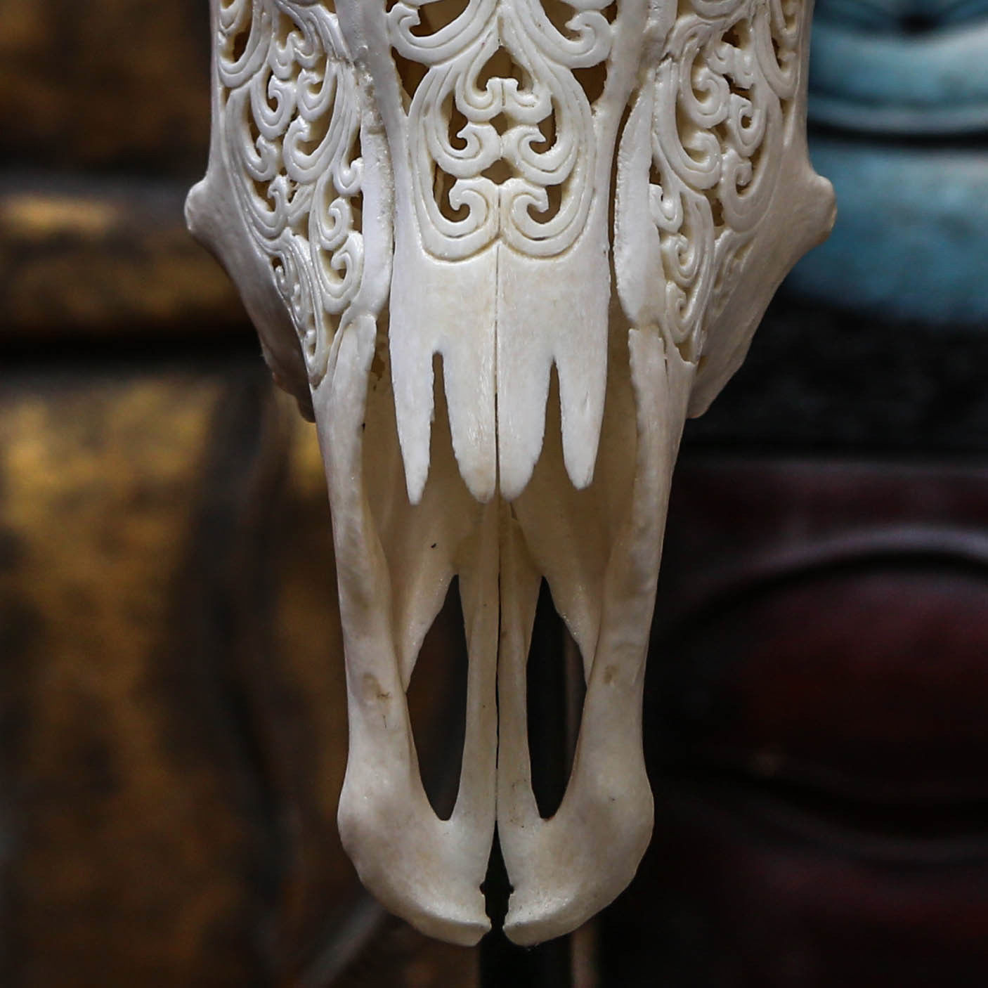 Bone carving - Craft, Carving, Bones, Animals, Scull, Longpost