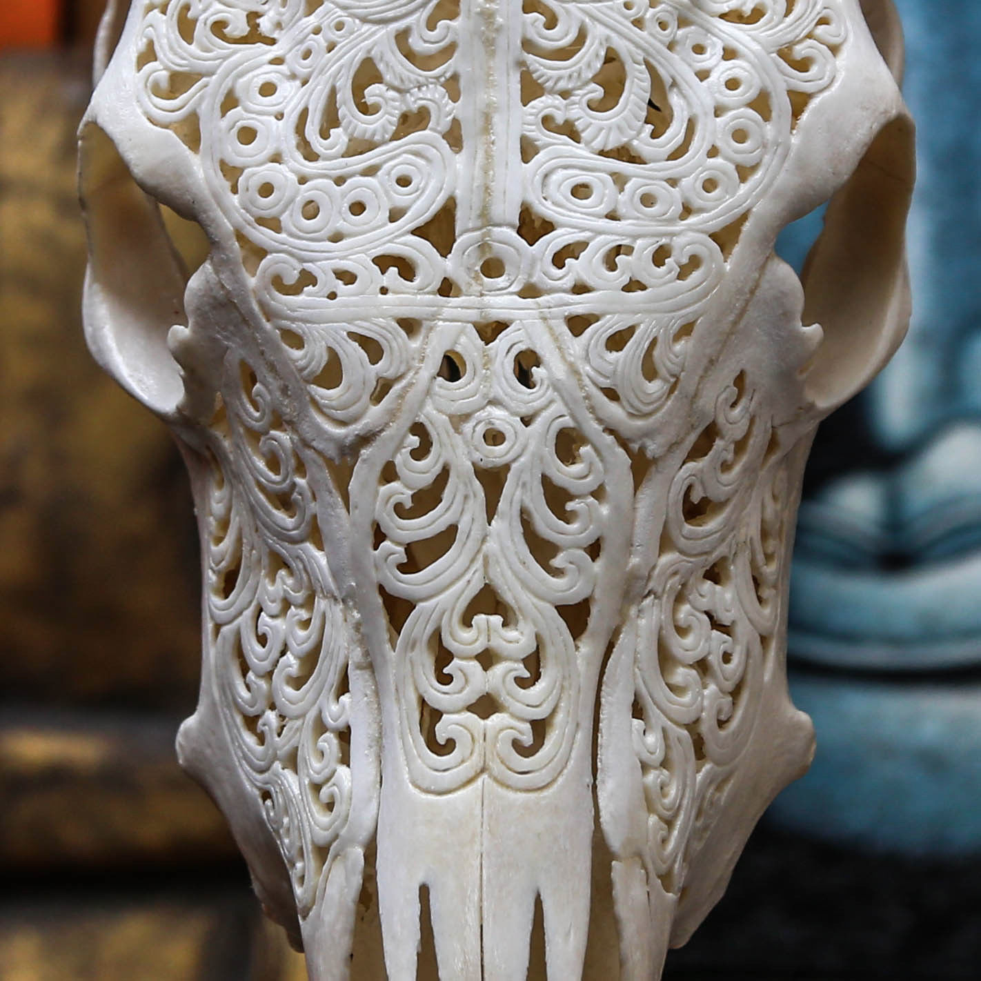 Bone carving - Craft, Carving, Bones, Animals, Scull, Longpost