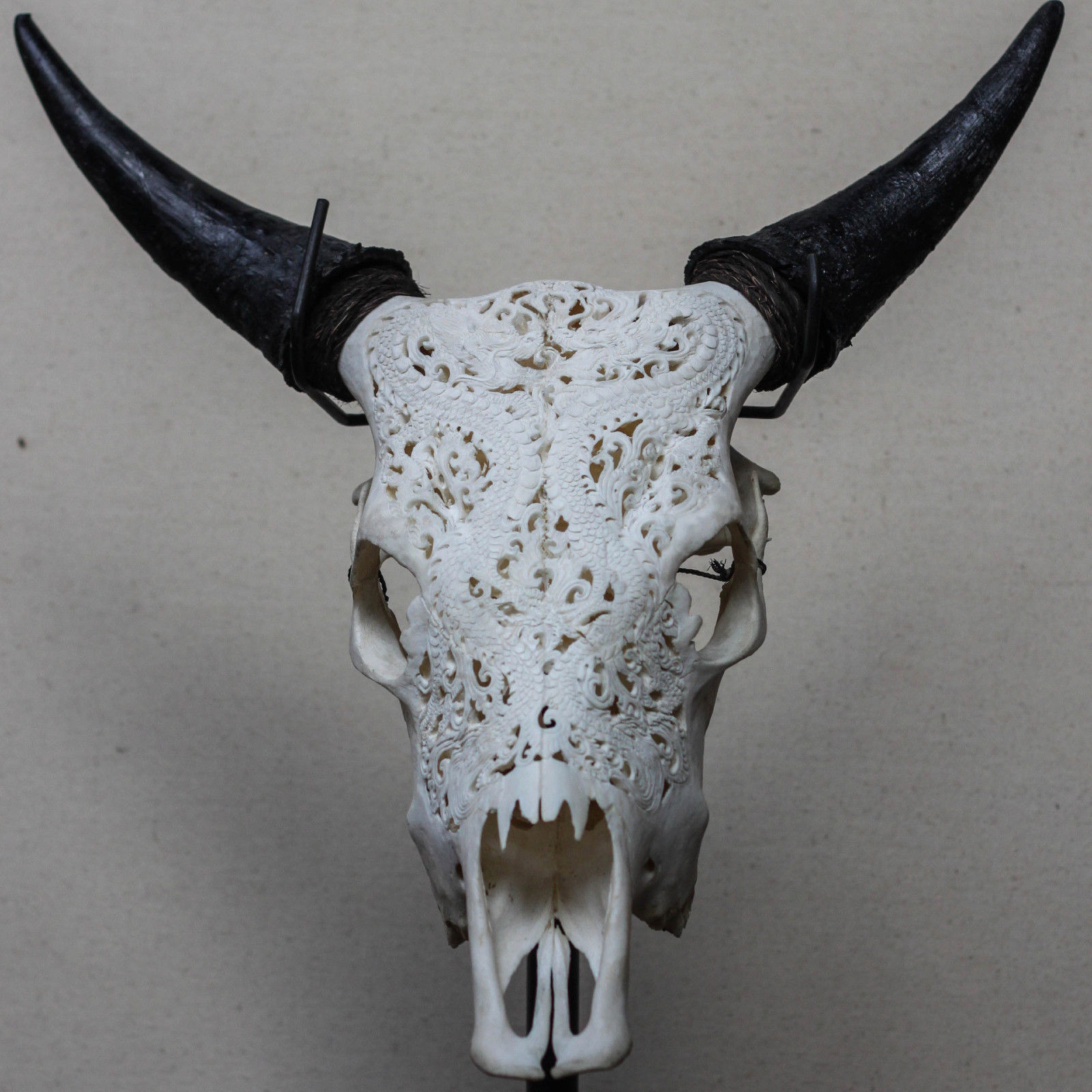 Bone carving - Craft, Carving, Bones, Animals, Scull, Longpost