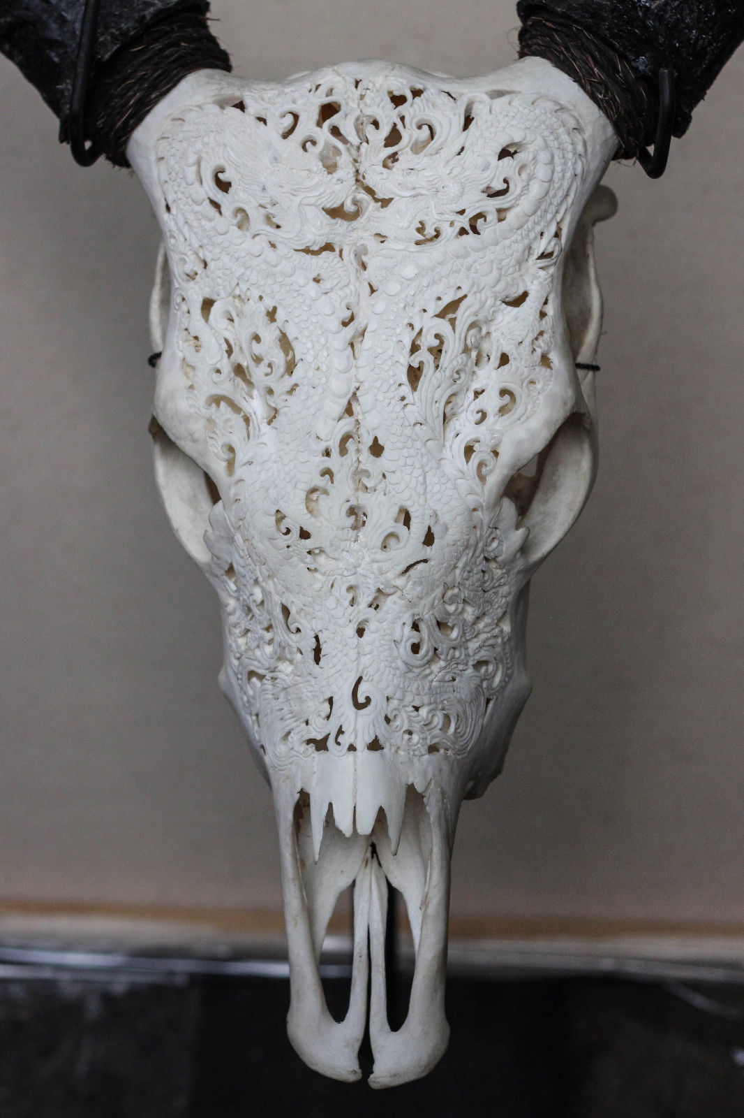 Bone carving - Craft, Carving, Bones, Animals, Scull, Longpost