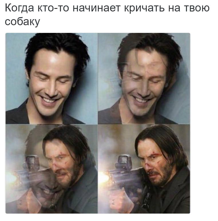 When someone starts yelling at your dog - Keanu Reeves, Humor, Funny, Dog