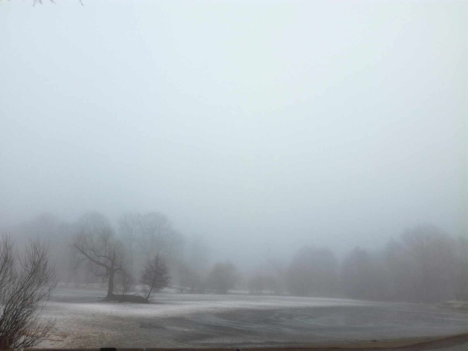 Wonderful frozen lake in fog - My, Kaliningrad, Lake, Fog, Haze, Longpost