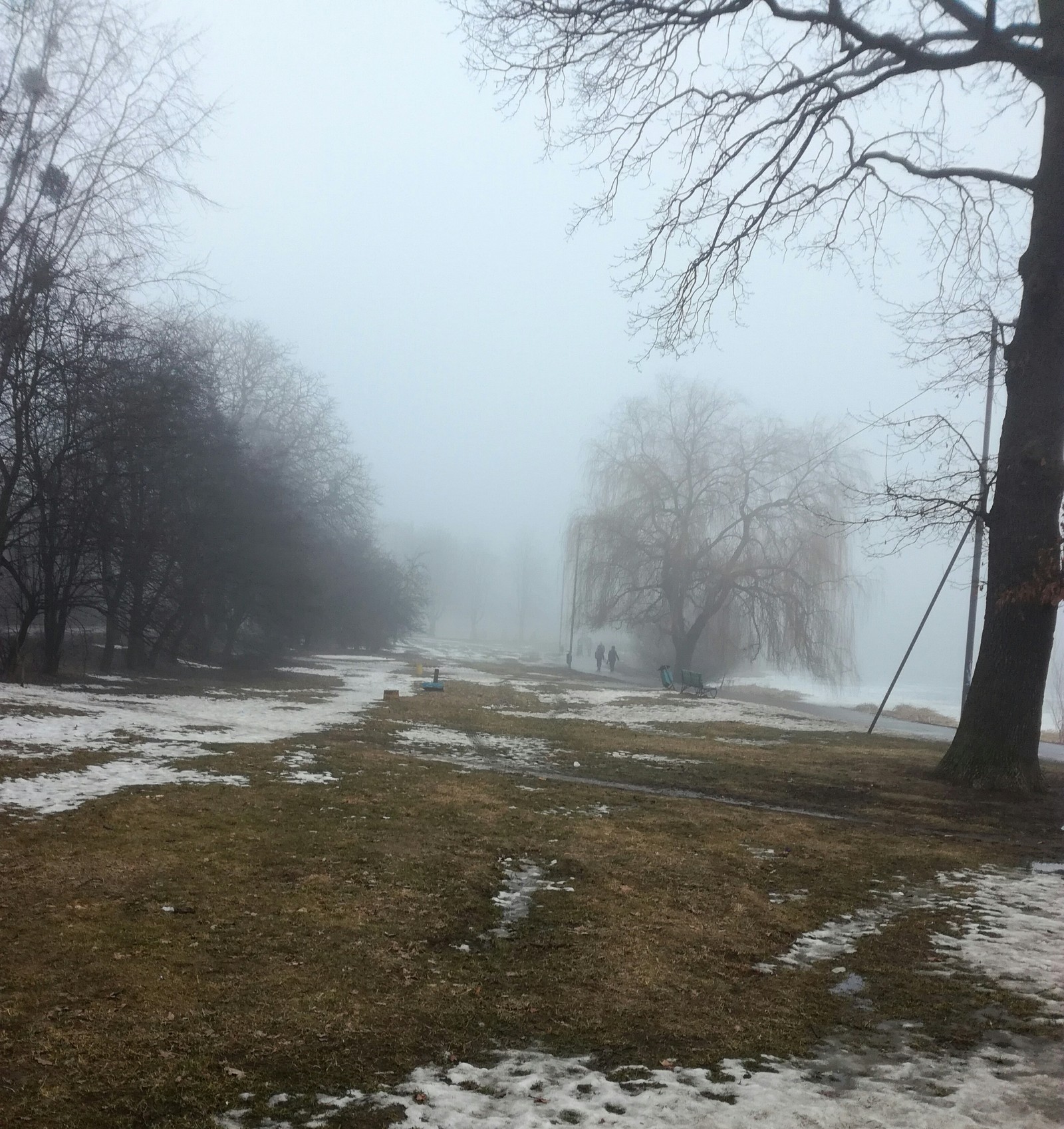 Wonderful frozen lake in fog - My, Kaliningrad, Lake, Fog, Haze, Longpost