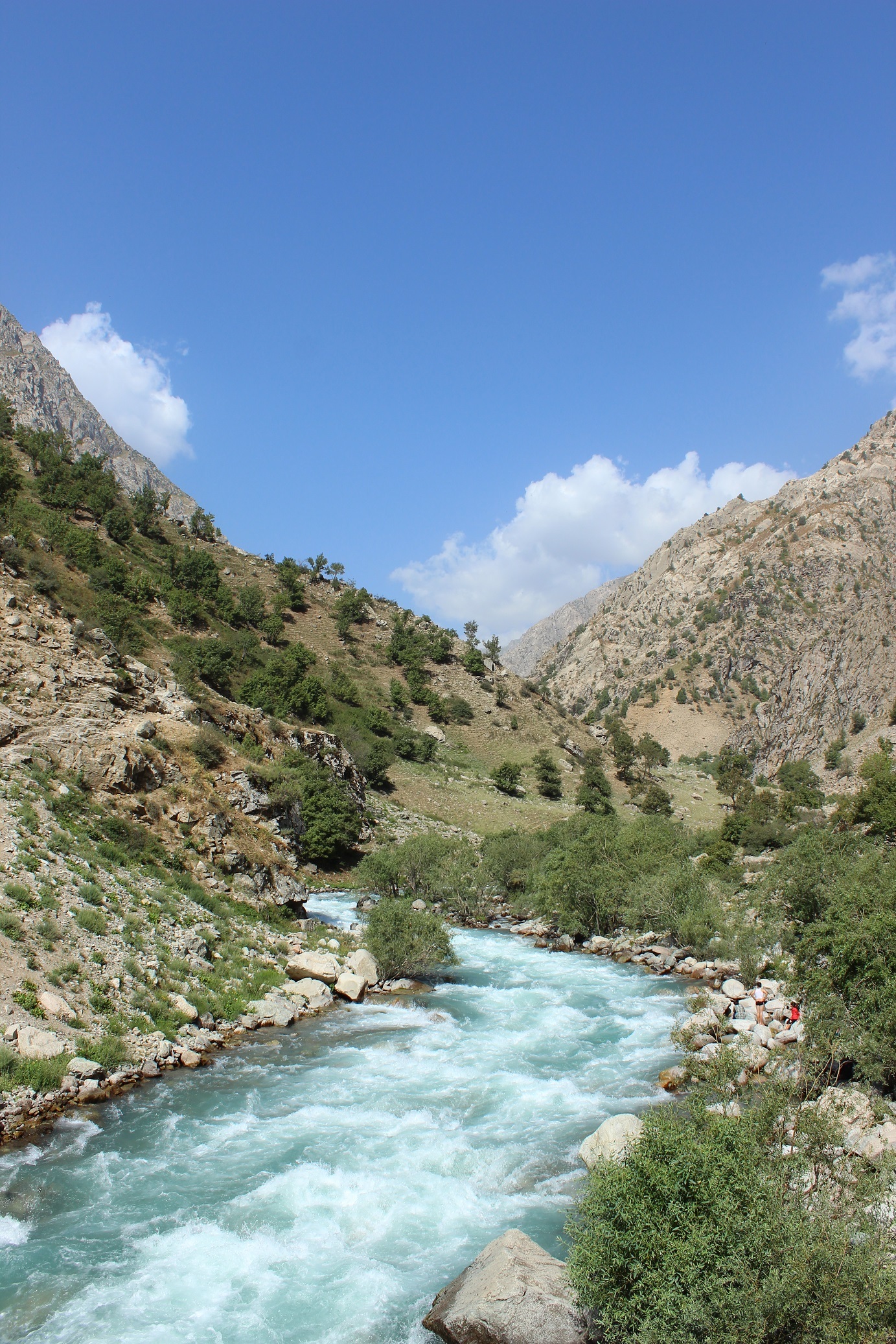 Shioma River - My, River, Water, Tajikistan, Nature, Clouds, Tree