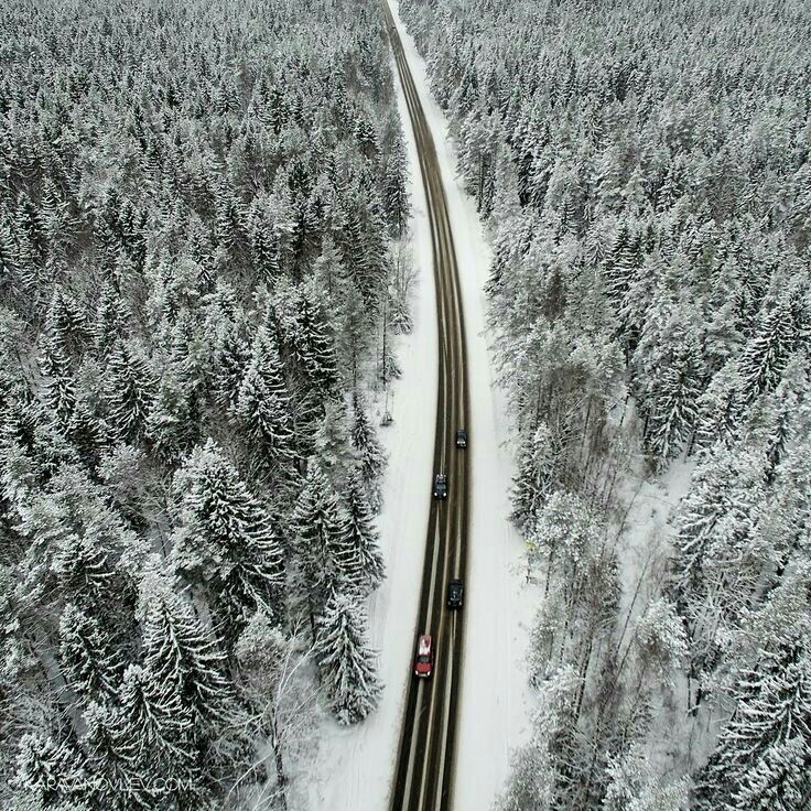 Где-то в Ленинградской области - Лес, Дорога, Зима, Красивое, Не мое, Фотография