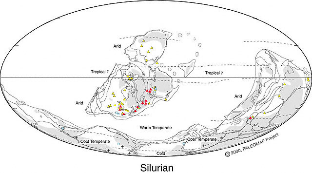 Silurian. - My, Paleontology, Interesting, Paleobotany, Silurian Period, Longpost