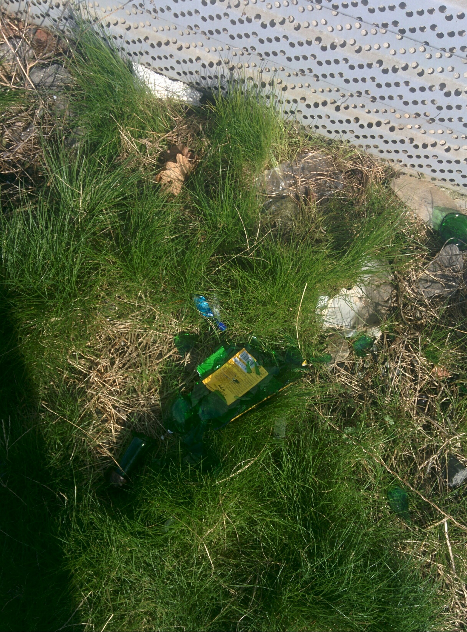 Russian Railways beat bottles along the Adler railway. - My, Russian Railways, Empty bottles, Glass, Dog, Garbage, Longpost