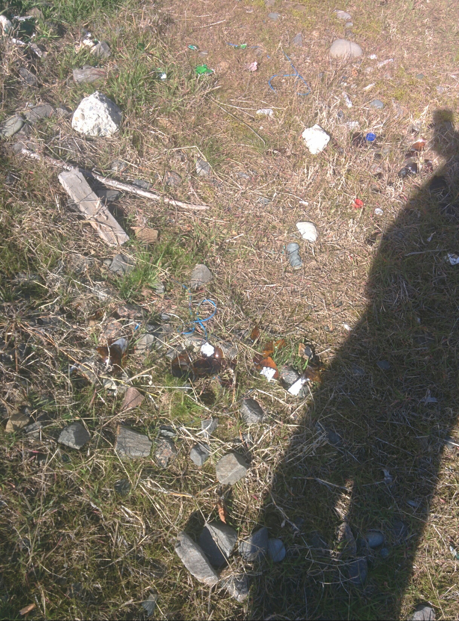 Russian Railways beat bottles along the Adler railway. - My, Russian Railways, Empty bottles, Glass, Dog, Garbage, Longpost