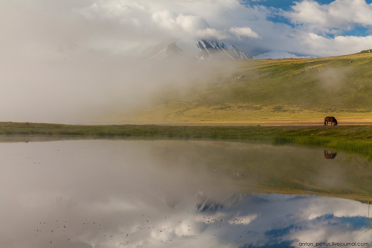 Ukok Plateau - Altai, Ukok, Ukok Plateau, Summer, Greenery, The photo, Nature, Landscape, Longpost, Altai Republic
