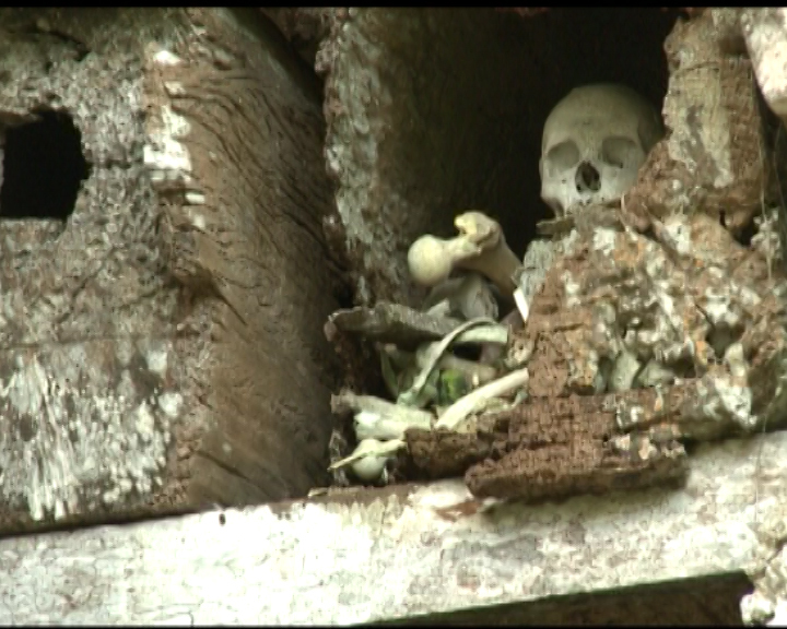 Tana Toraja, Indonesia: Valley of the Shadow of Death. Part 2 - Tribes, Longpost, Video, Tribe, Traditions, Grave, Sulawesi, , Indonesia, My