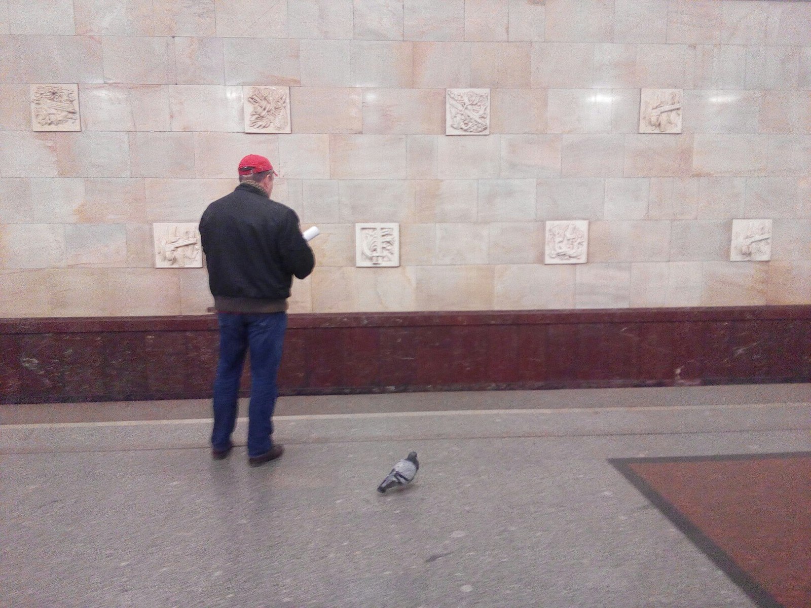 Gulya, who was just waiting for her electric train - My, Moscow, Partizanskaya metro station, Pigeon