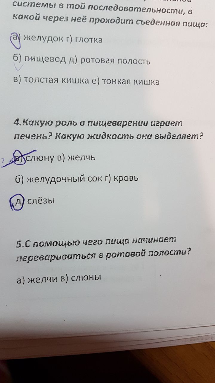 Слезы печени - Тест, 3 класс, Пищеварение, Слезы, Эстафета, Длиннопост