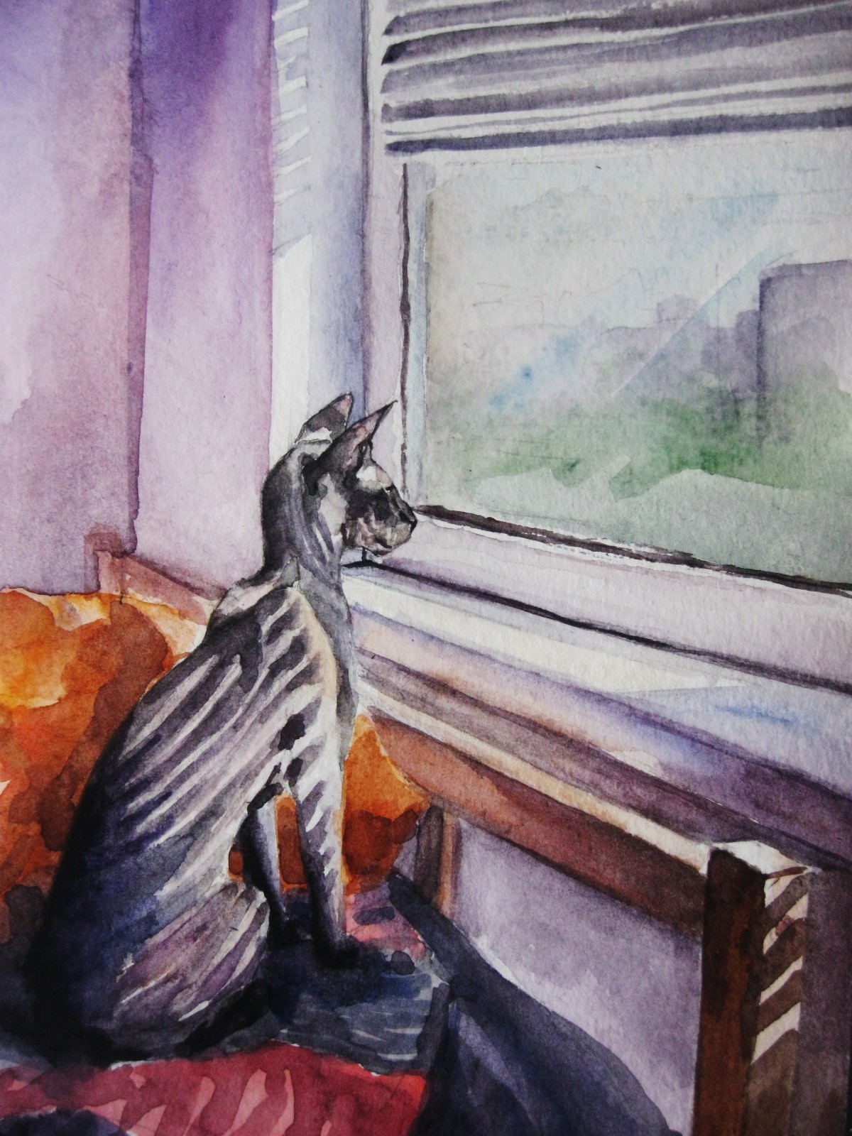 I saw in fresh - My, Drawing, Watercolor, My, cat