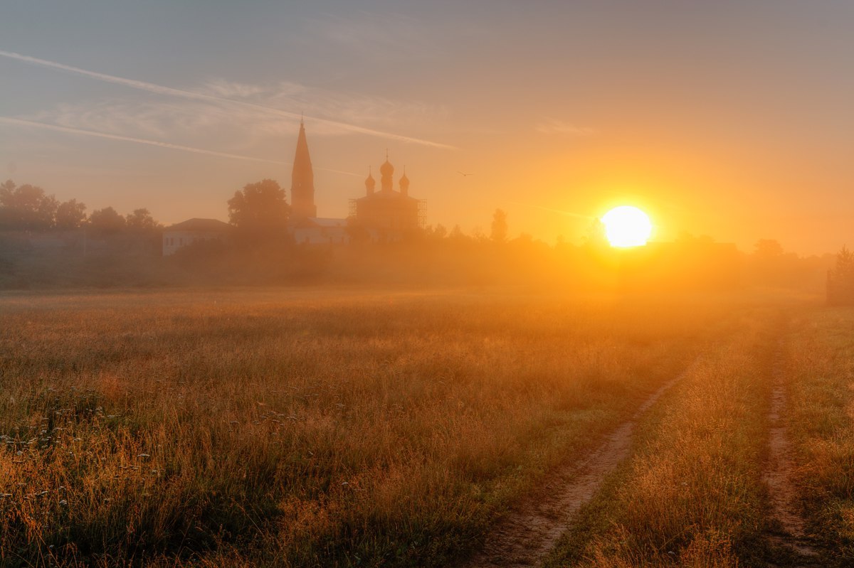 Yaroslavl region - Yaroslavskaya oblast, Summer, Cow, Grace, Greenery, Nature, Fog, Sunrise, Longpost