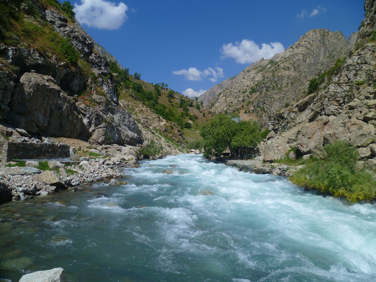 Walk along the Siam River. - My, River, Nature, Flowers, Tajikistan, , Longpost