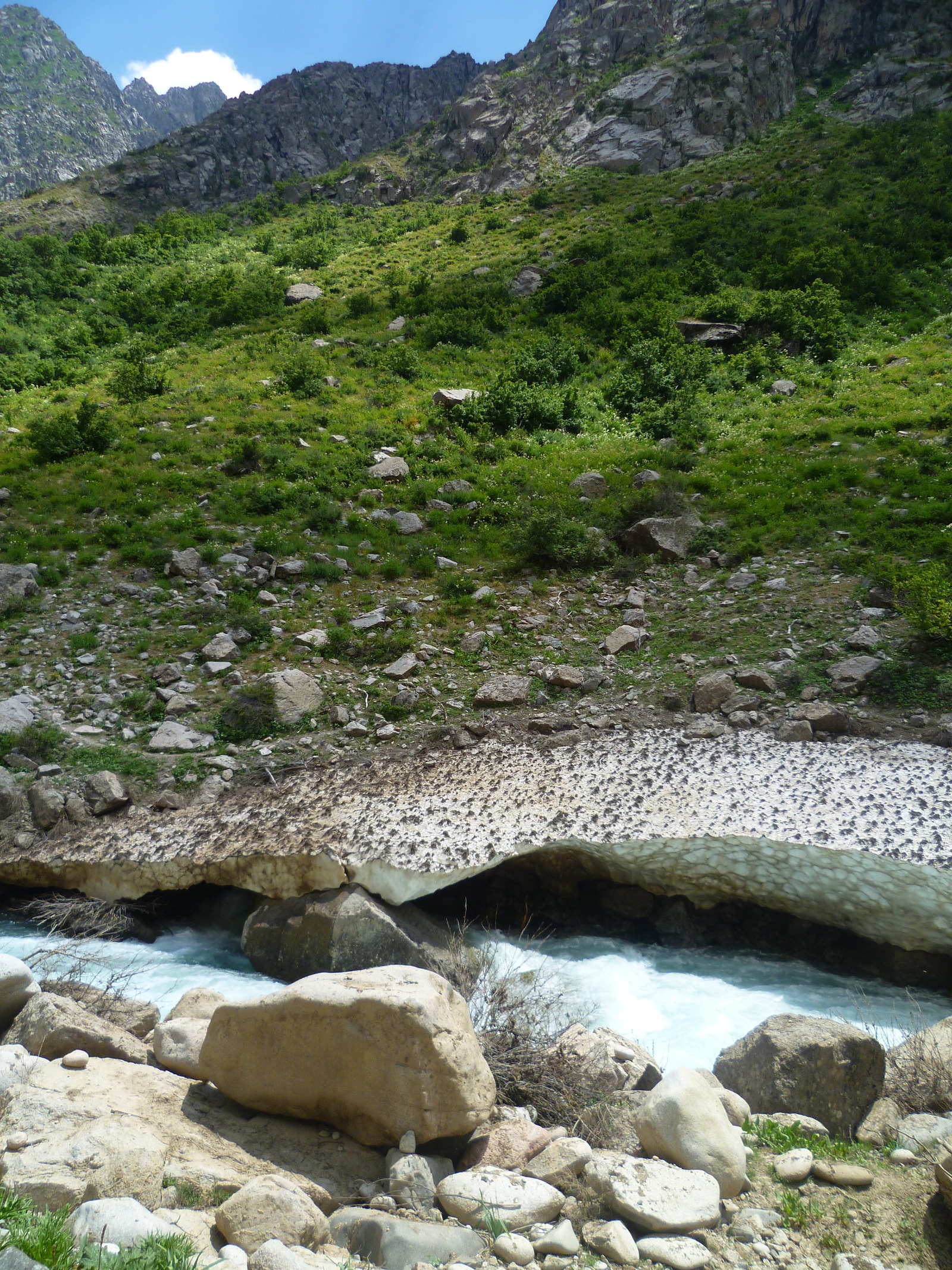 Walk along the Siam River. - My, River, Nature, Flowers, Tajikistan, , Longpost