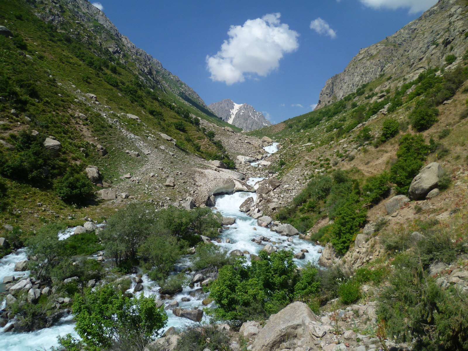 Walk along the Siam River. - My, River, Nature, Flowers, Tajikistan, , Longpost