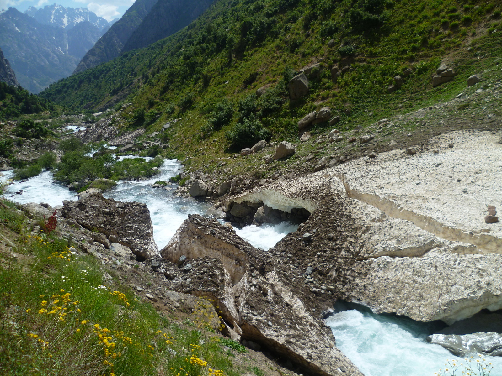 Walk along the Siam River. - My, River, Nature, Flowers, Tajikistan, , Longpost