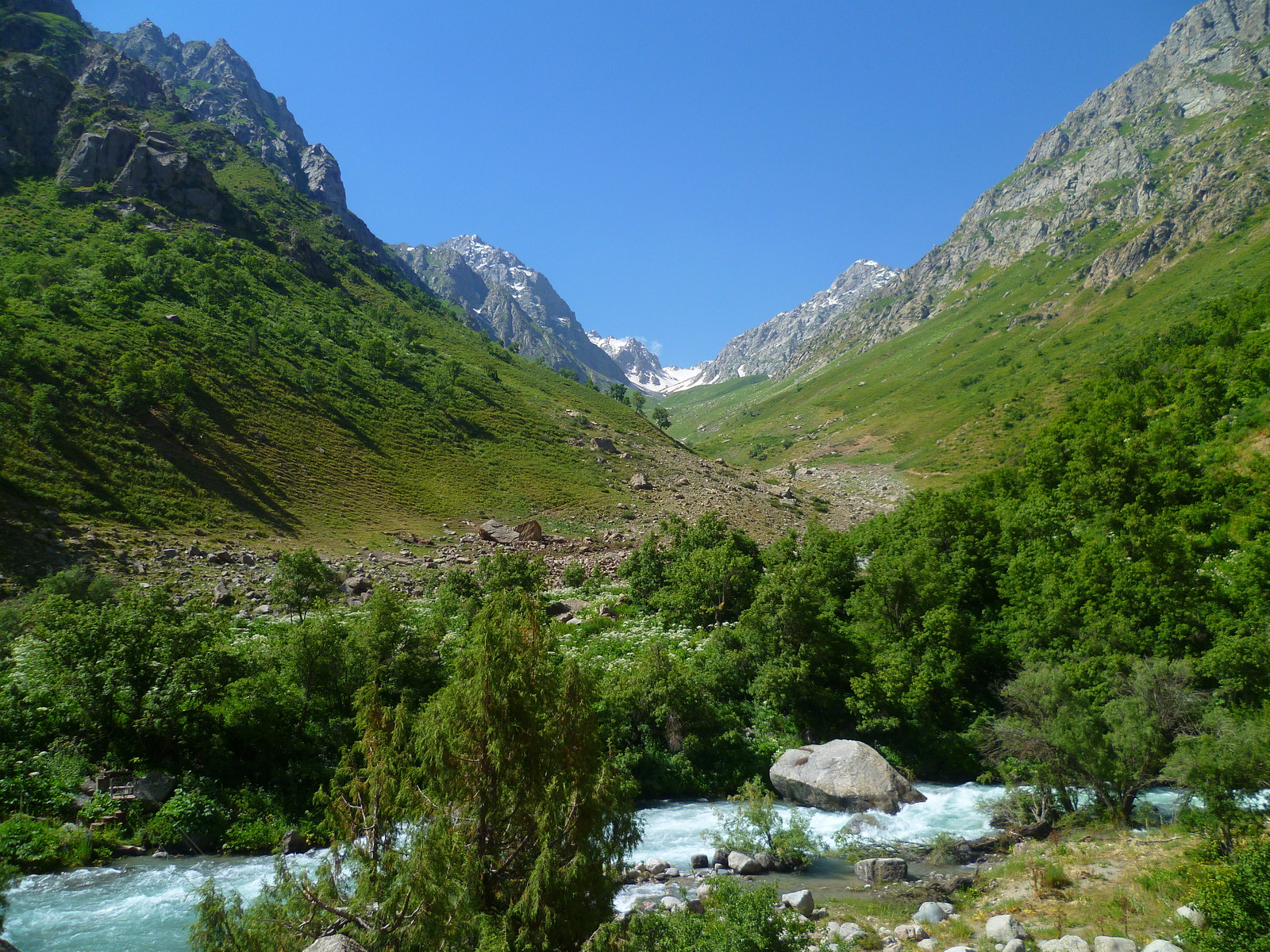 Walk along the Siam River. - My, River, Nature, Flowers, Tajikistan, , Longpost