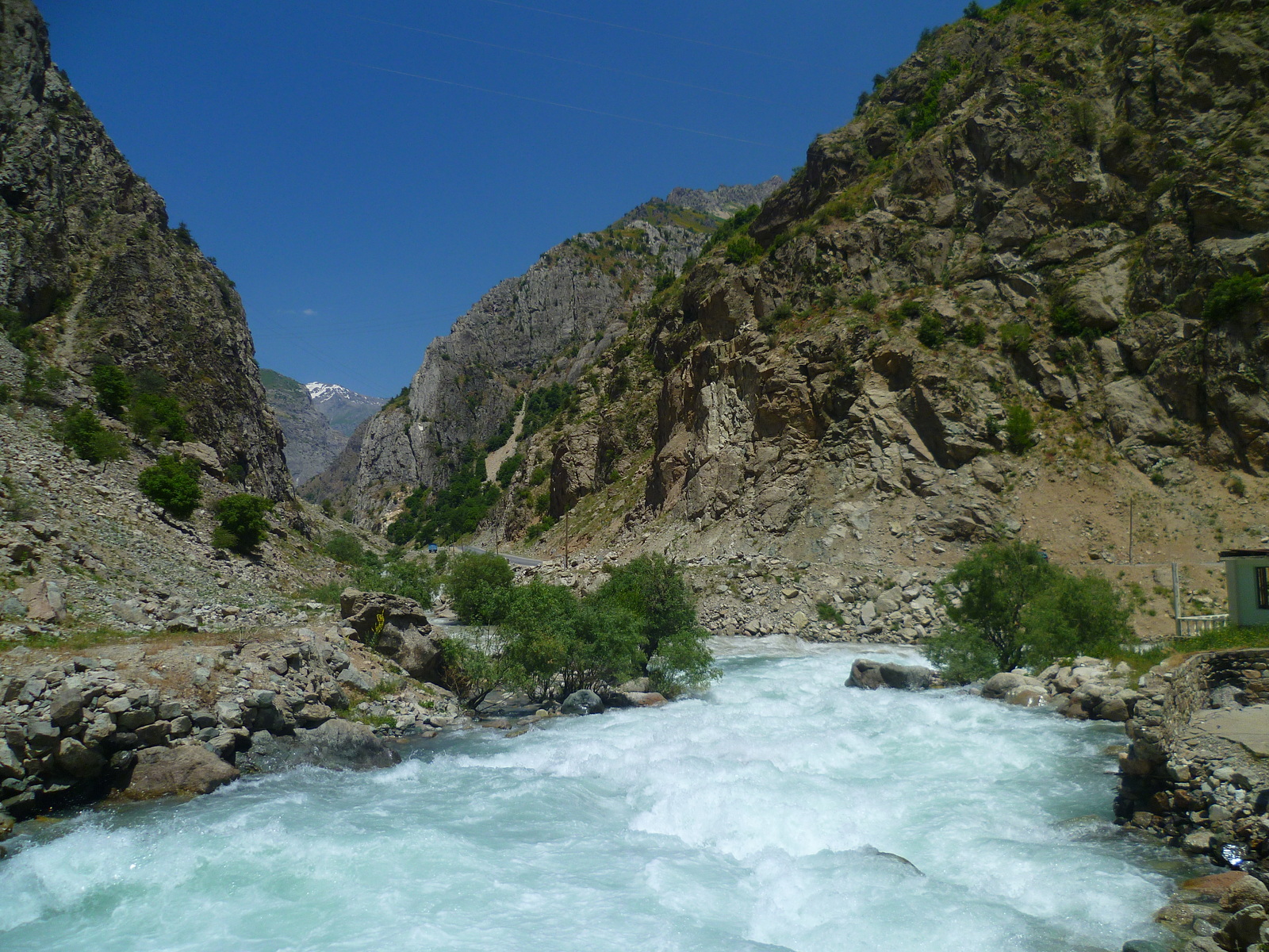 Walk along the Siam River. - My, River, Nature, Flowers, Tajikistan, , Longpost