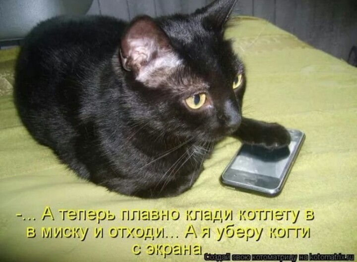 I have your iPhone hostage! - cat, Cutlets, Telephone, Picture with text