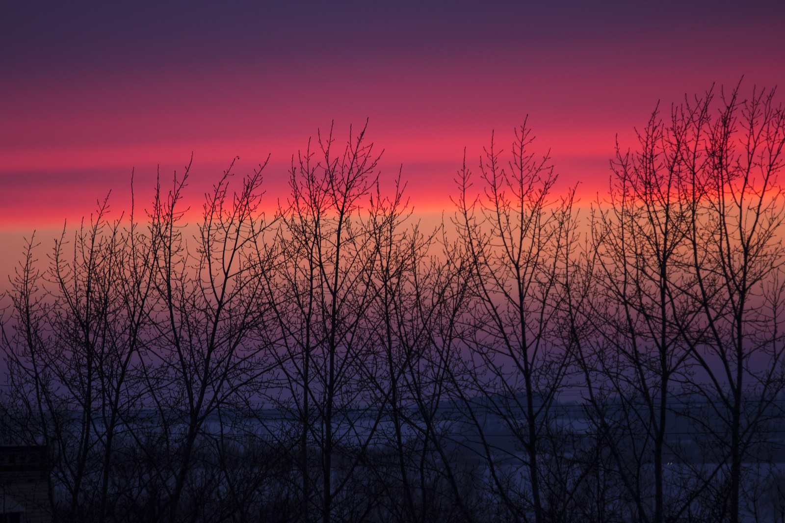 Just the first spring evening that I noticed. - Spring, Evening, Sunset