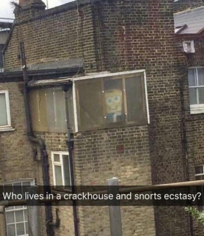 Spongebob Meth Pants - Sponge, Ecstasy, drug den, Sadness, Childhood, Pants, The photo