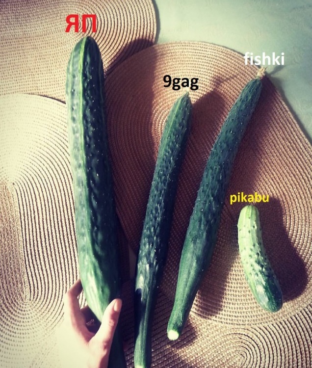 Photo sent via viber - Cucumbers, The size, 