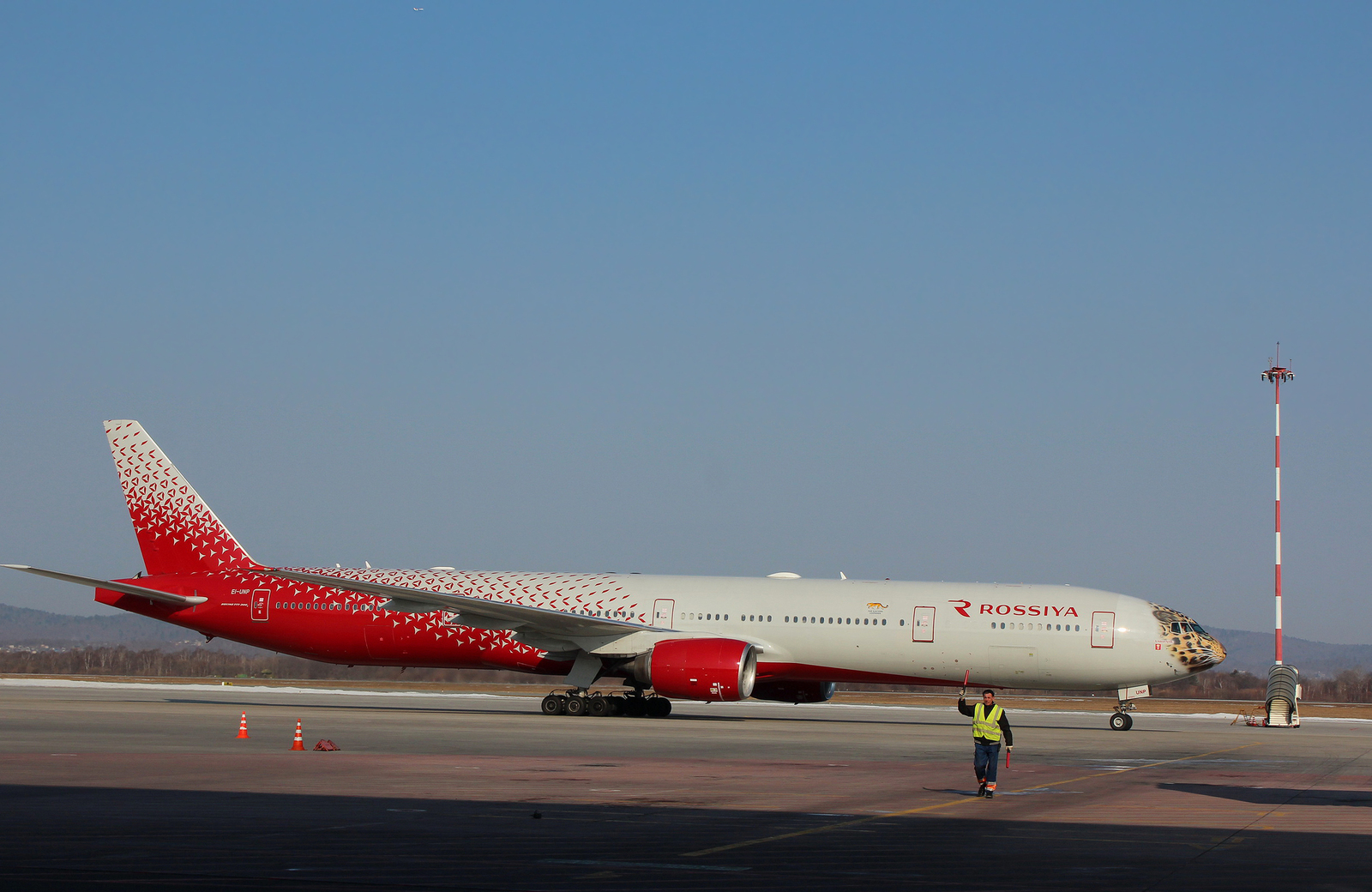 Meeting Leolet at Vladivostok airport - My, Vladivostok, Spotting, Leopard, Airplane, Aviation, The photo, Longpost