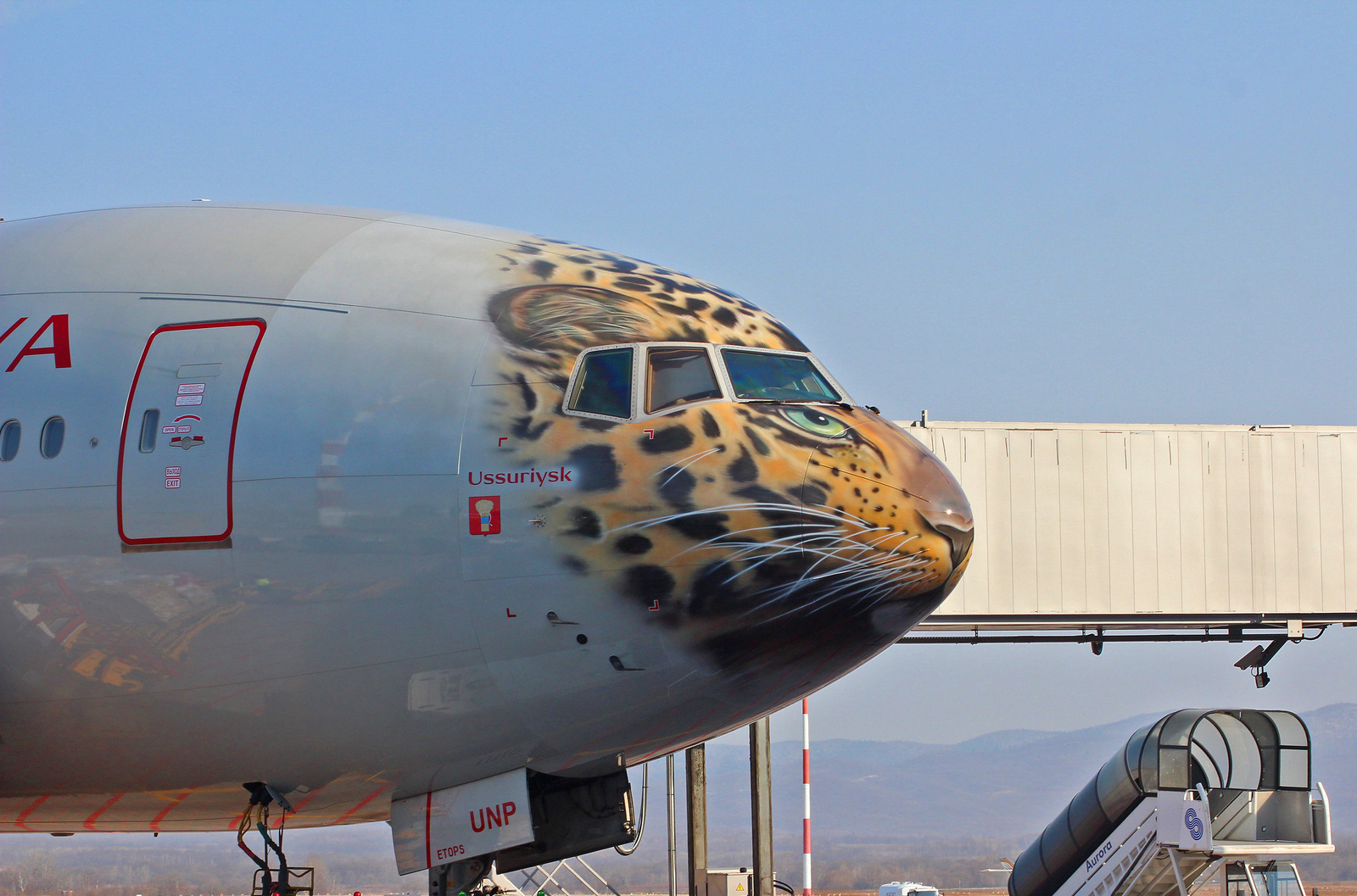 Meeting Leolet at Vladivostok airport - My, Vladivostok, Spotting, Leopard, Airplane, Aviation, The photo, Longpost