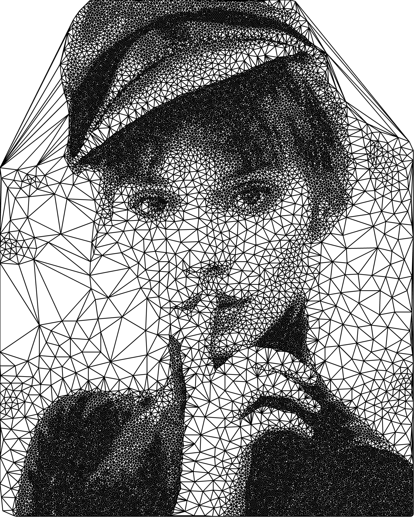 triangulation portraits - Art, Portrait, Algorithm, Longpost