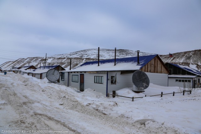 How shift workers live in Yakutia - Yakutia, Peace, Gas, Diamond, Everyday life, Longpost, Dog