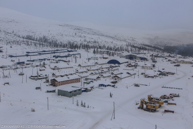 How shift workers live in Yakutia - Yakutia, Peace, Gas, Diamond, Everyday life, Longpost, Dog