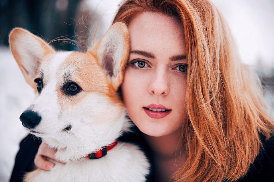 Ryzhiki - My, Beautiful girl, Corgi, Redheads, Longpost, Dog