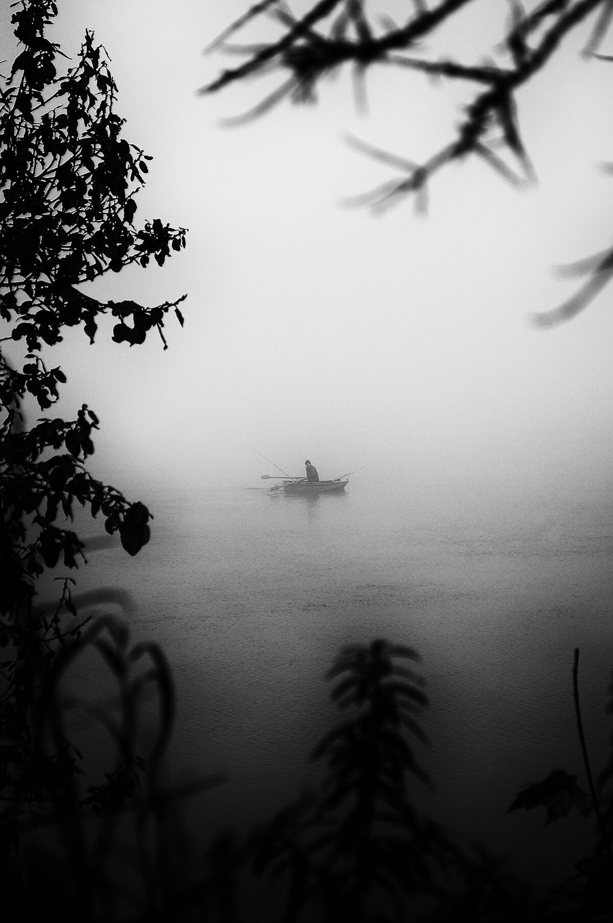 Mist. - My, Fog, The photo, Nikon, Nikon d90, Black and white photo, Longpost