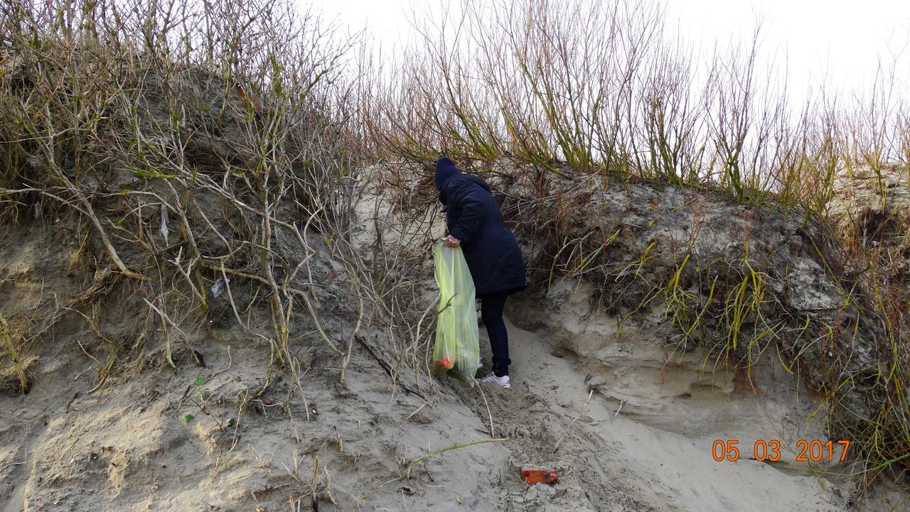 Zelenograd residents have again cleared the beach of debris. - Sea, , Kaliningrad region, Purity, Volunteers, Order, Baltic Sea, Volunteering, Longpost