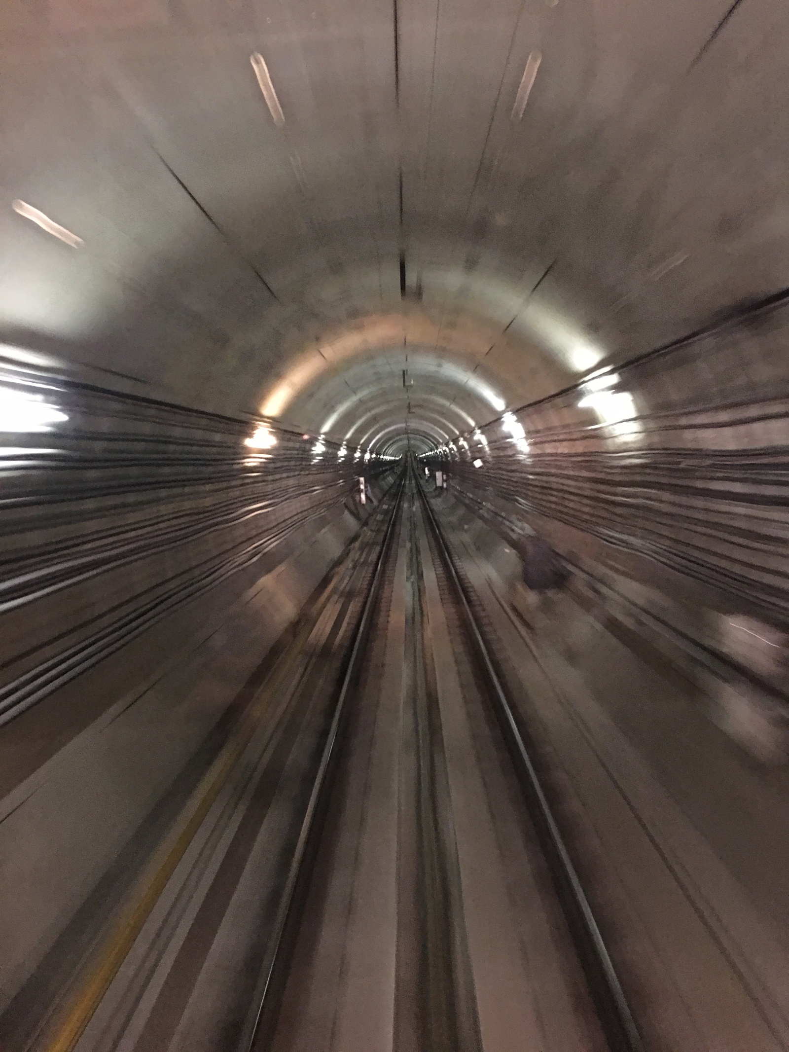 A bit of underground romance. - My, Metro, The photo, Longpost