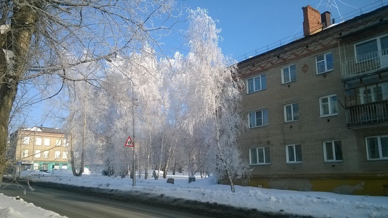 Trees in the morning at the Ob HPP - My, Obges, March, Spring, Frost, Novosibirsk, Russia, Nature, beauty, Longpost