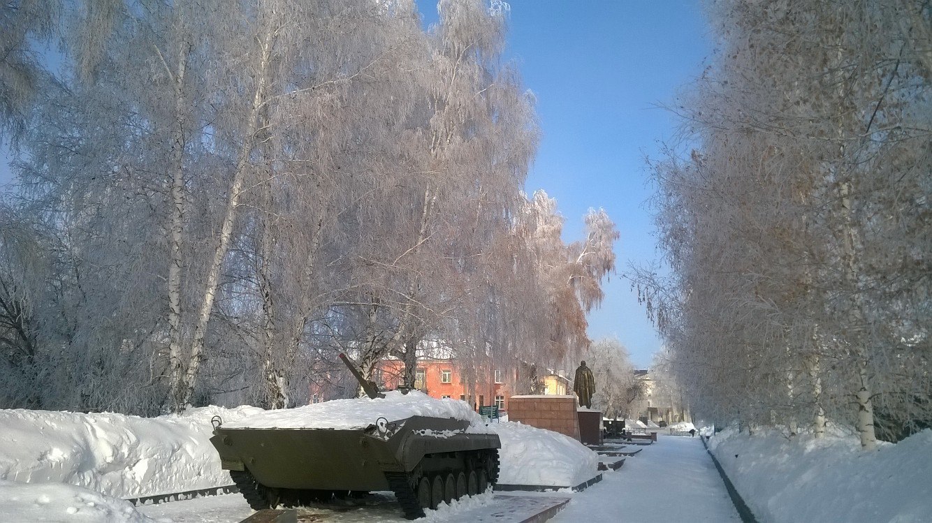 Trees in the morning at the Ob HPP - My, Obges, March, Spring, Frost, Novosibirsk, Russia, Nature, beauty, Longpost