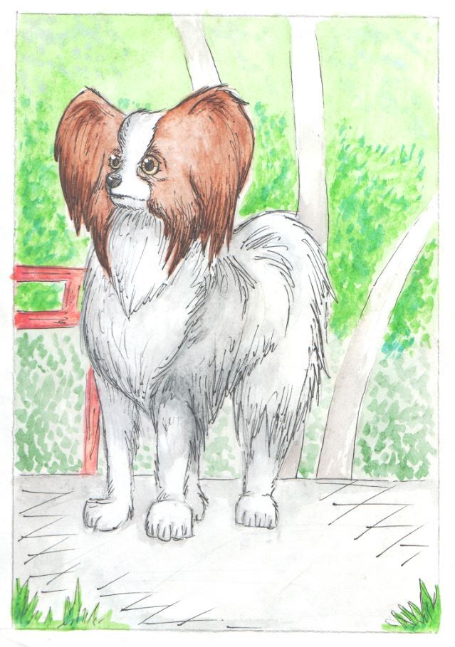 Dog Style - My, Dog, Watercolor, Drawing, Longpost