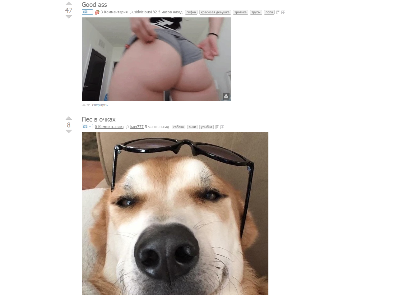 coincidence - NSFW, Coincidence, Dog