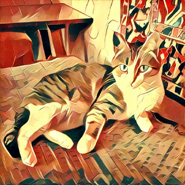 Cotoprisma - My, cat, The photo, Photo Filters, Longpost