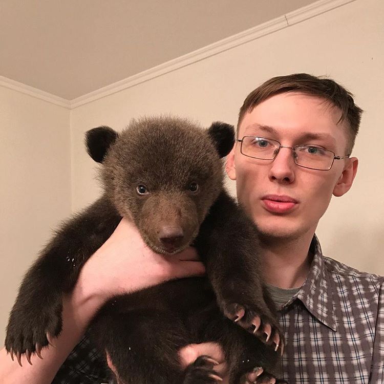 Correct selfie from Russia - My, The Bears, Russia, Animals, Selfie