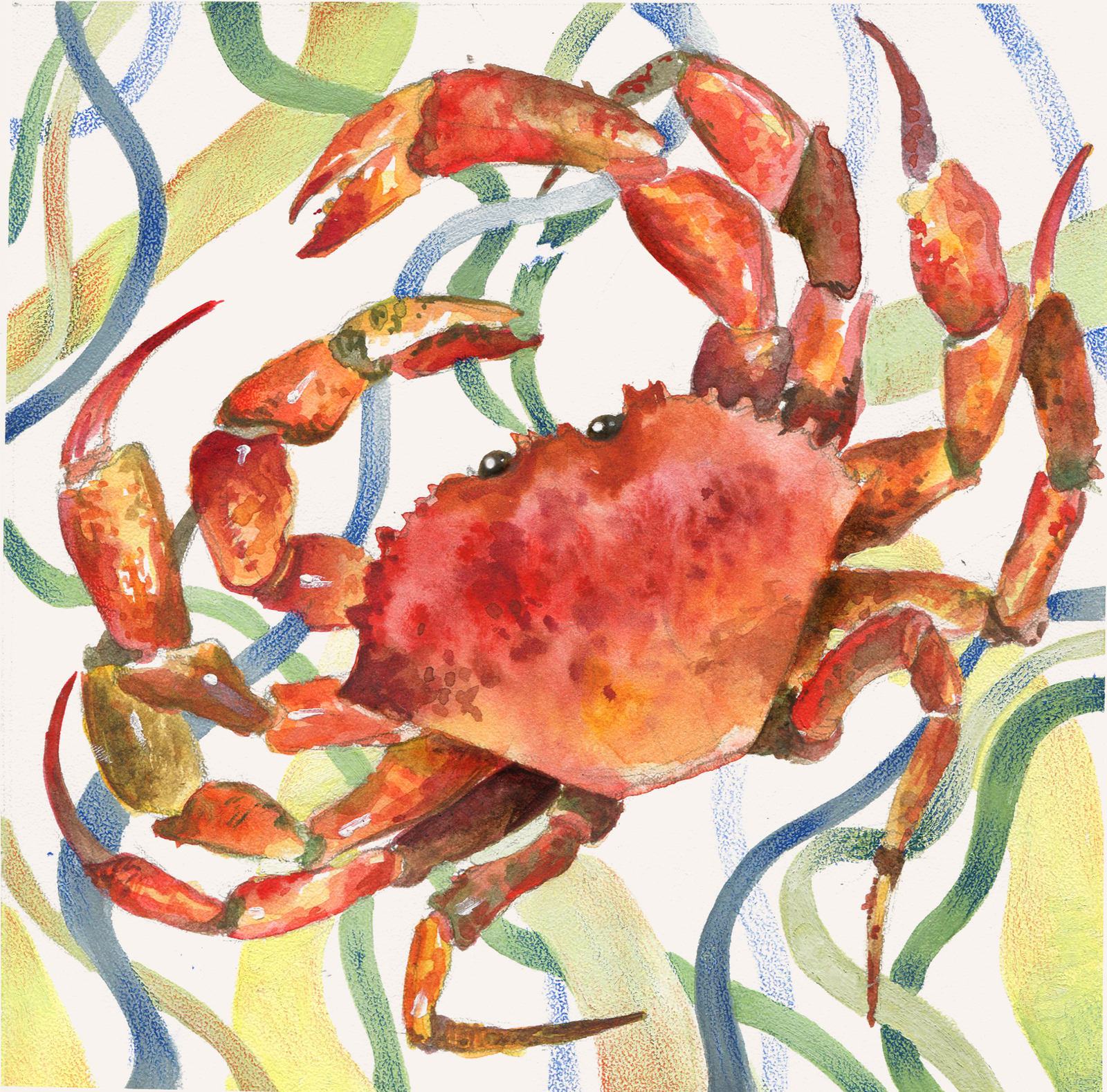 A little bit of crabs in a ribbon 2... - My, Crab, Watercolor, Gouache, Drawing, Illustrations, Art, Mascara, Longpost